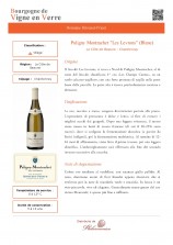 Puligny Montrachet