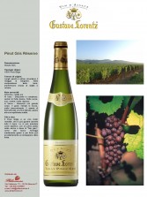 Pinot Gris Reserve, PDF