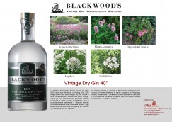 Vintage Dry Gin 40%, PDF