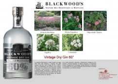 Vintage Dry Gin 60%, PDF