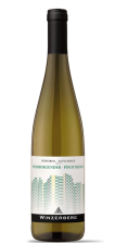 Weissburgunder Pinot Bianco